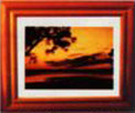 Sunrise to Sunsets: 1 Image frame